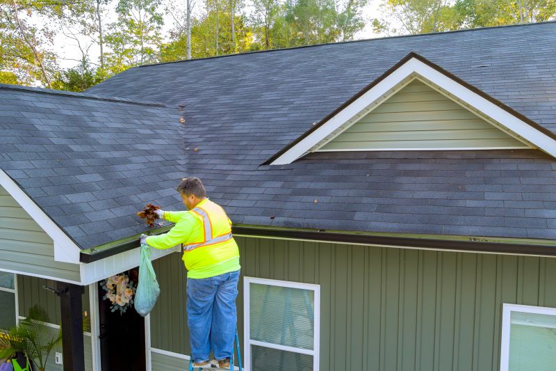 Professional Gutter Cleaning Service