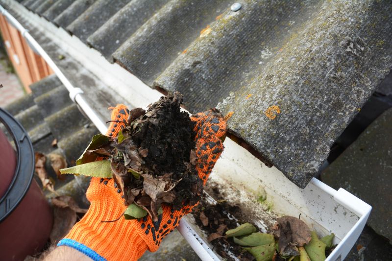 Gutter System Inspection