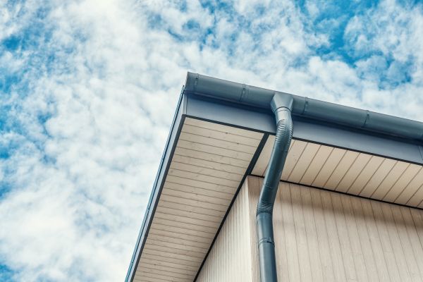 Gutter Fascia Repair in Grand Rapids